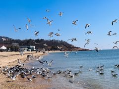 -银沙滩浴场