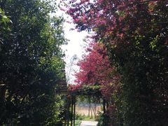 -福建鲤鱼洲酒店