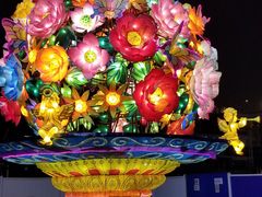 -锦江乐园舞狸花花游园会(夜场专享)