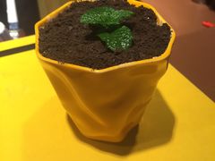 -森居forest休闲咖啡聚集地