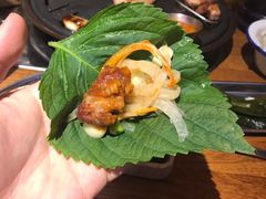 -济州爱肉堂(总店)