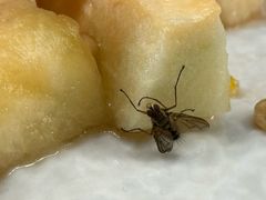 -里面·Noodlology(机电院店)