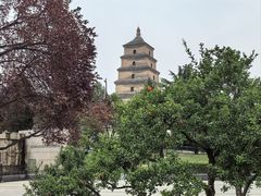 -大慈恩寺(大雁塔)