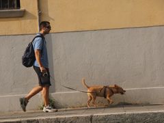 -圣马尔谷圣殿宗主教座堂