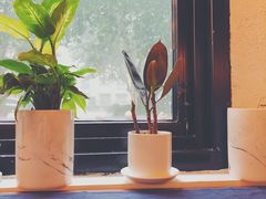 -如禾素食·下午茶·糖水