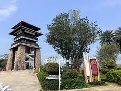 -大湾区中央湿地公园