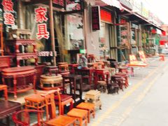 -中环花鸟鱼虫市场