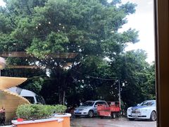 -荔城生鲜盛宴(番禺旗舰店)