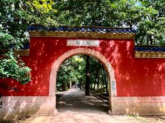 -灵谷景区
