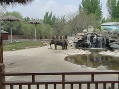 -北京野生动物园