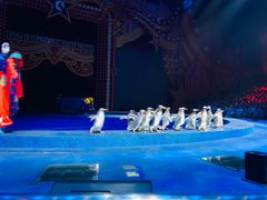 -珠海横琴长隆《卡卡虎奇遇记》