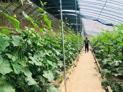 -万源龙顺度假庄园生态观光园