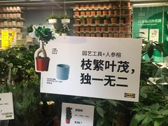-IKEA宜家家居(南京商场)