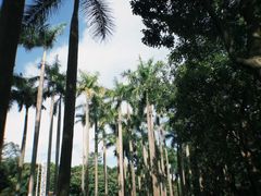 -番禺大夫山森林公园