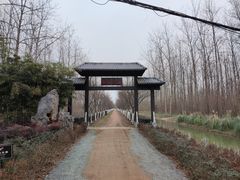 -合肥滨湖国家森林公园