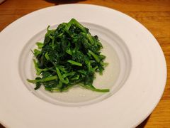 橄榄油高山豌豆苗-庆春朴门