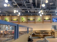 -翡翠拉面小笼包Crystal Jade(上海浦东国际机场T1店)