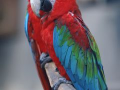 -大连森林动物园