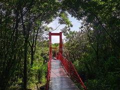 -上海吴淞炮台湾国家湿地公园