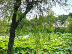 -滨海高尔夫俱乐部