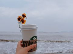 -星巴克(上海虹桥新天地二店)