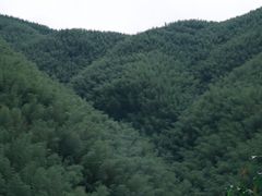 -庐山碧龙潭风景区