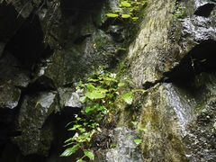 -藏龙百瀑风景区