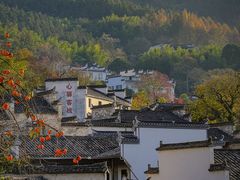 -塔川景区