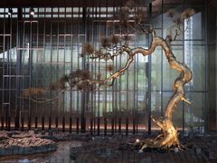 -五缘湾凯悦酒店·悦饗中餐厅