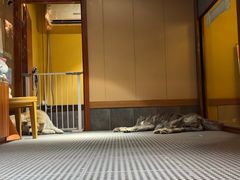 -大江户·温泉洗浴(浑南店)