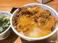 -吉野家(红博中央公园店)