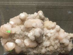 -湖南省地质博物馆