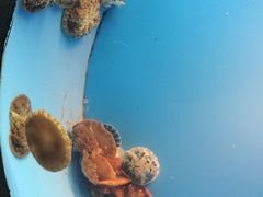 -常州海昌海洋探索馆
