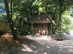 -名古屋城