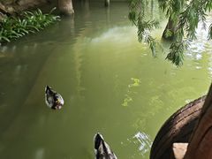 -长鹿旅游休博园