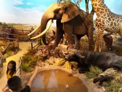 -陕西自然博物馆