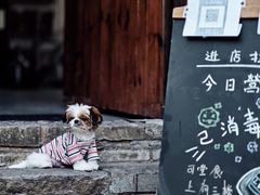 -边渡咖啡烘焙店(昙华林店)