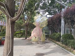 -南宫五洲植物乐园