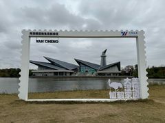 -盐城丹顶鹤湿地生态旅游区