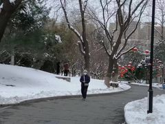 -丰台花园