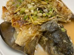 -杨记新泉美食