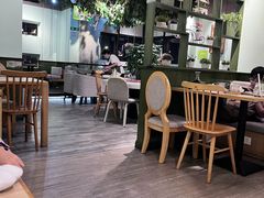 -仙踪林(惠润广场店)