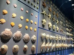 -重庆自然博物馆(新馆)