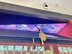 -将太无二·北美传奇寿司(荟聚购物中心西红门店)