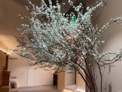 -阿南达·瑜伽普拉提·阿育吠陀疗愈中心