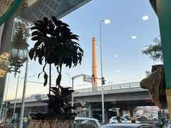 -帕米尔食府(白云观店)