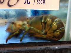 -岭南海晏楼(滨江东总店)