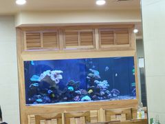-顺通大冷面(总店)