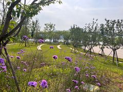 -华谊兄弟（长沙）电影小镇