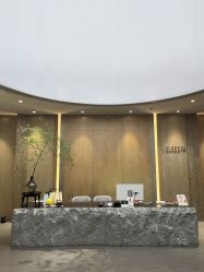 -VELEE·SPA高定疗愈会所